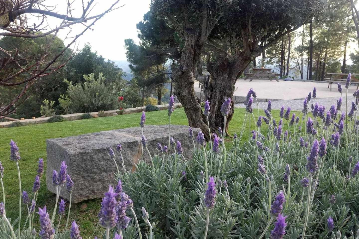 Quinta Da Idalina Villa Monchique Room photo